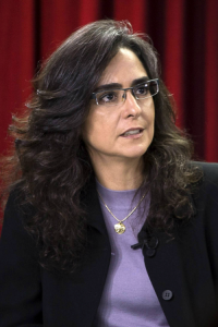 Marcia Castro, Professora da Harvard